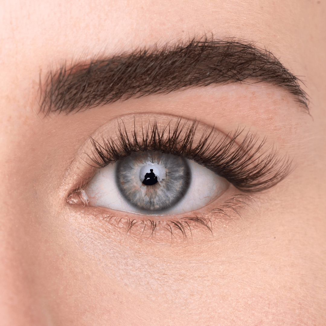 
            
              COSY LASH (DE) - MAYSON Cosmetics
            
          