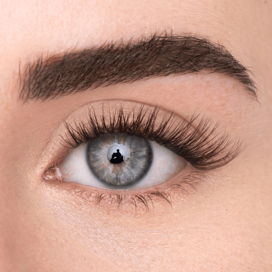 
            
              COSY LASH - MAYSON Cosmetics
            
          