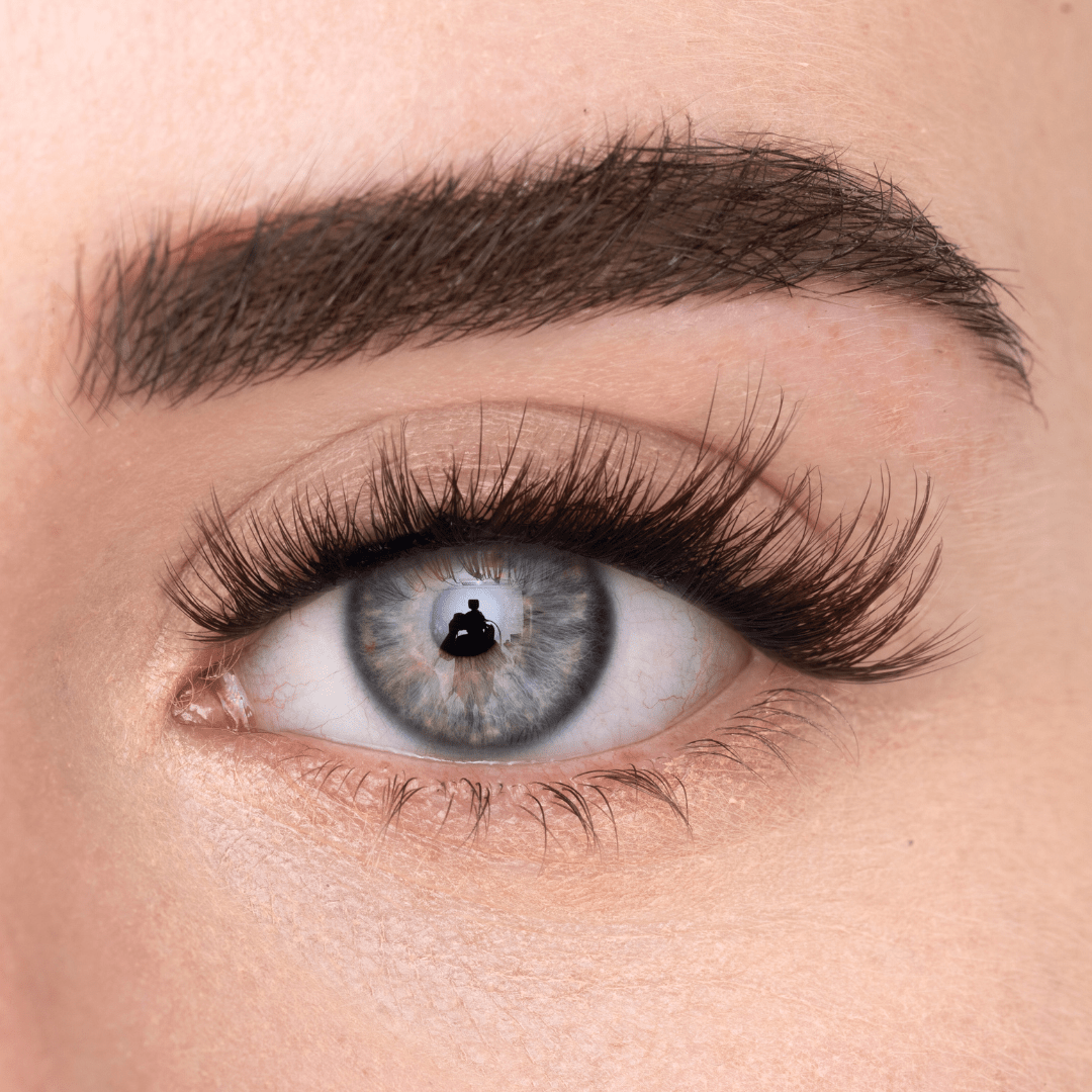 
            
              SASSY LASH - MAYSON Cosmetics
            
          