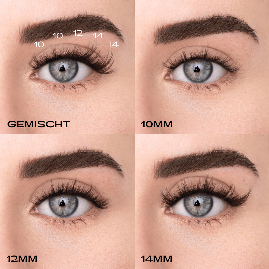 
            
              SASSY KIT (DE) - MAYSON Cosmetics
            
          