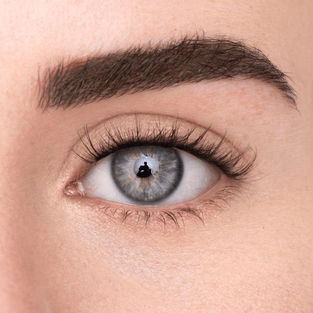 
            
              WISPY LASH (DE) - MAYSON Cosmetics
            
          
