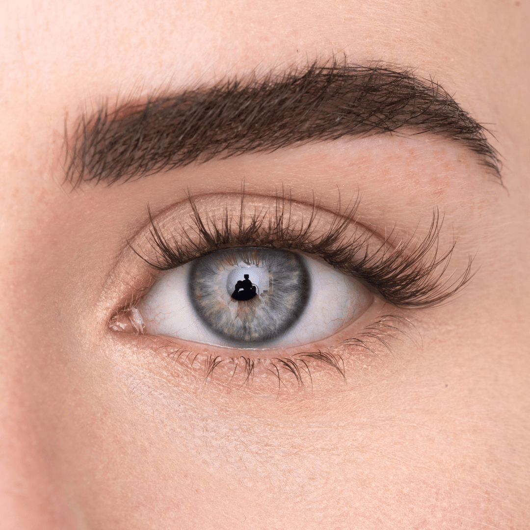 
            
              WISPY LASH (DE) - MAYSON Cosmetics
            
          