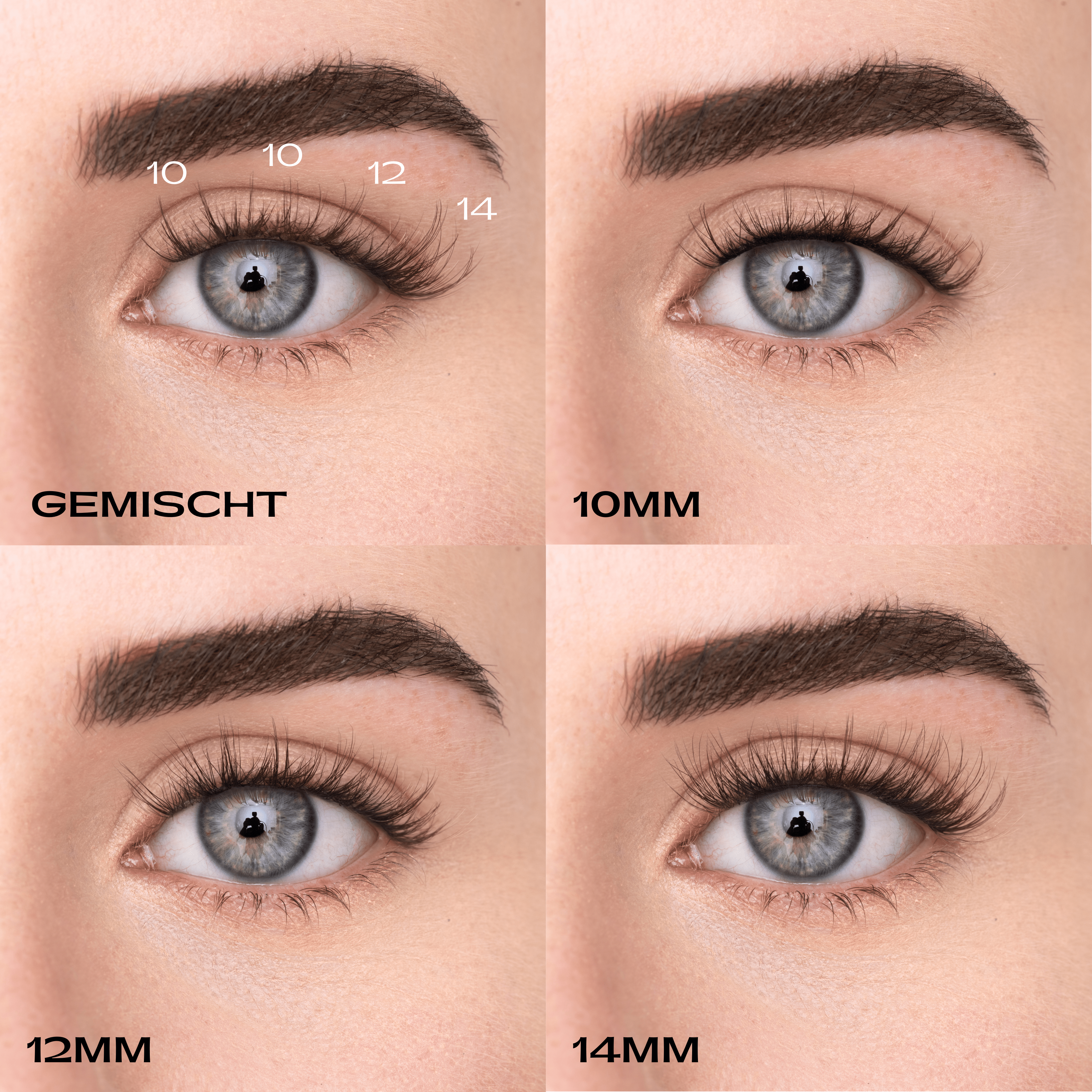 
            
              WISPY LASH (DE) - MAYSON Cosmetics
            
          